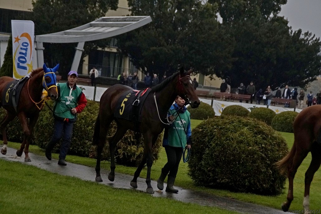 _DSC0566.JPG