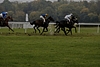 _DSC0684.JPG