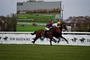 DSC00236.JPG