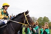DSC00247.JPG
