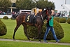 DSC00262.JPG