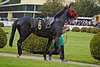 DSC00266.JPG