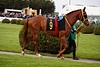 DSC00273.JPG