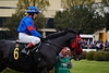 DSC00275.JPG