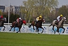 DSC00295.JPG