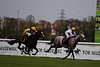 DSC00296.JPG