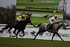 DSC00297.JPG