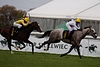 DSC00299.JPG
