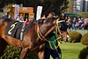 DSC00221.JPG