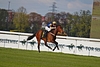 DSC00243.JPG