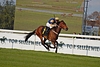 DSC00244.JPG