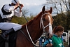 DSC00254.JPG
