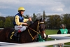 DSC00255.JPG
