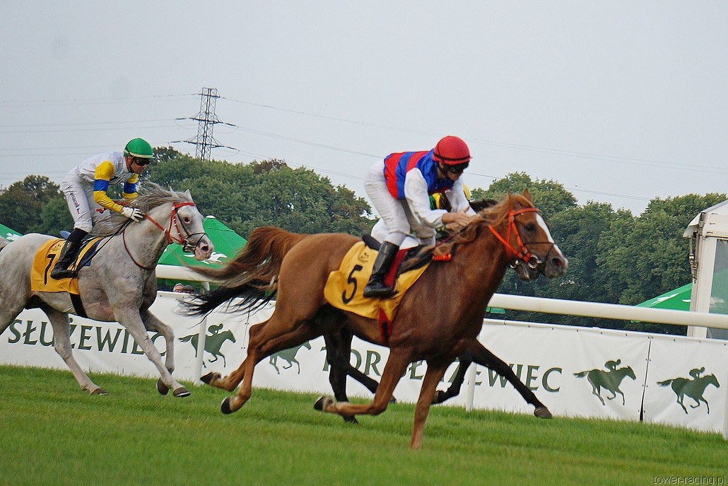 DSC00515.JPG