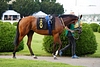 DSC00545.JPG