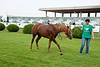 DSC00566.JPG