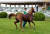 DSC00567.JPG