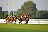 DSC00614.JPG