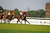 DSC00615.JPG
