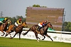 DSC00616.JPG