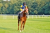 DSC00630.JPG