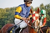 DSC00631.JPG