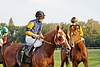 DSC00632.JPG