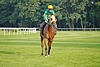 DSC00635.JPG