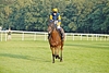 DSC00637.JPG