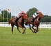 DSC00243.JPG
