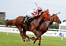 DSC00245.JPG
