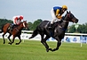 DSC00247.JPG