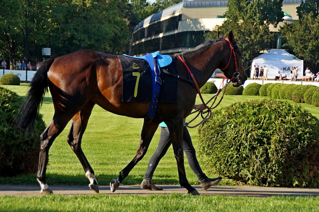 DSC01452.JPG