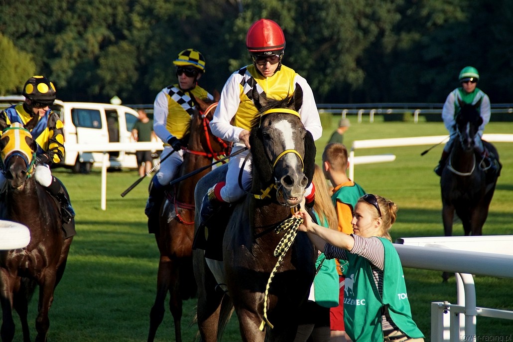 DSC01487.JPG