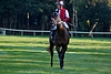 DSC01814.JPG