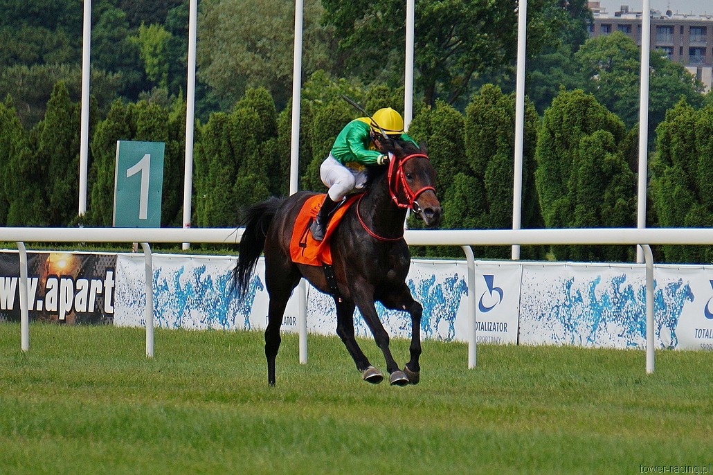 DSC00062.JPG