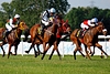 DSC00274.JPG