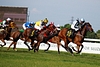 DSC00277.JPG