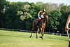 DSC00287.JPG