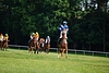 DSC00288.JPG