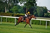 DSC00296.JPG