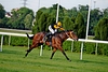 DSC00297.JPG