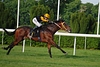 DSC00299.JPG