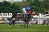 DSC00305.JPG