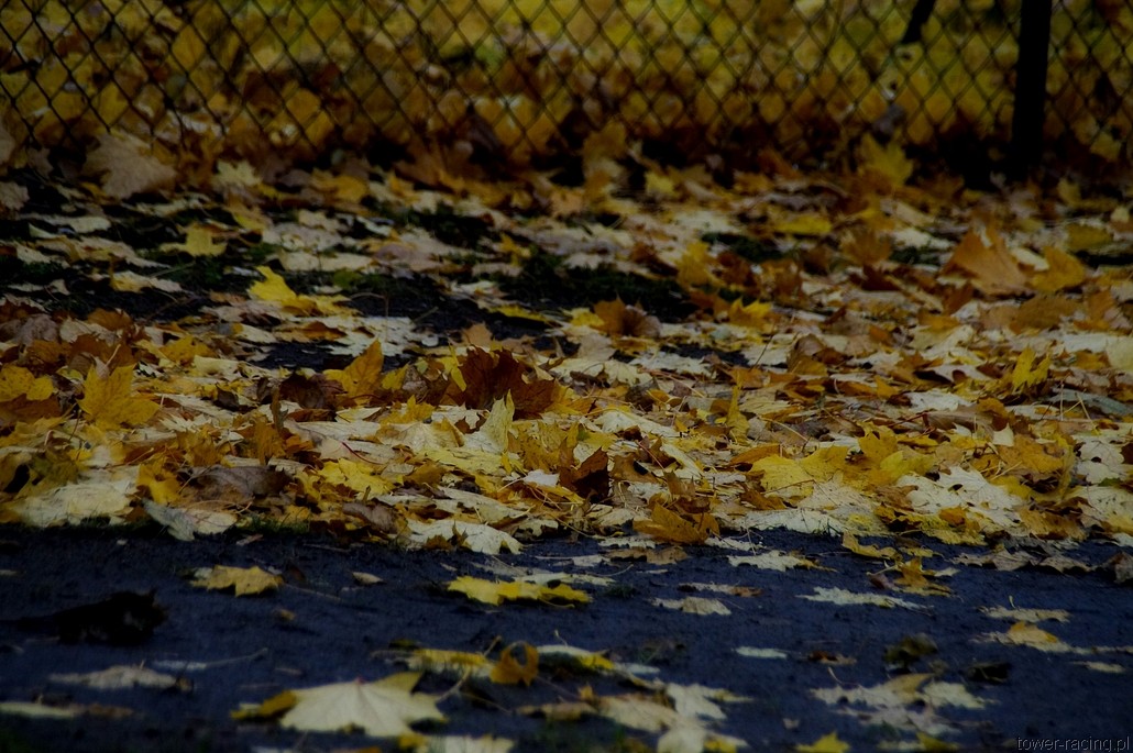 _DSC0102.JPG