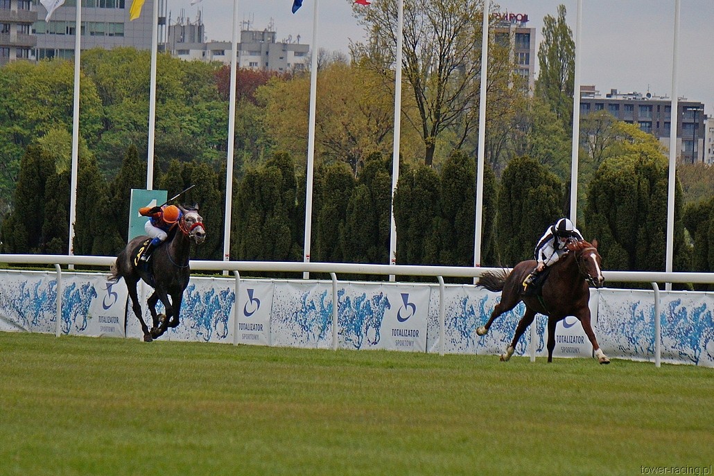 DSC00085.JPG