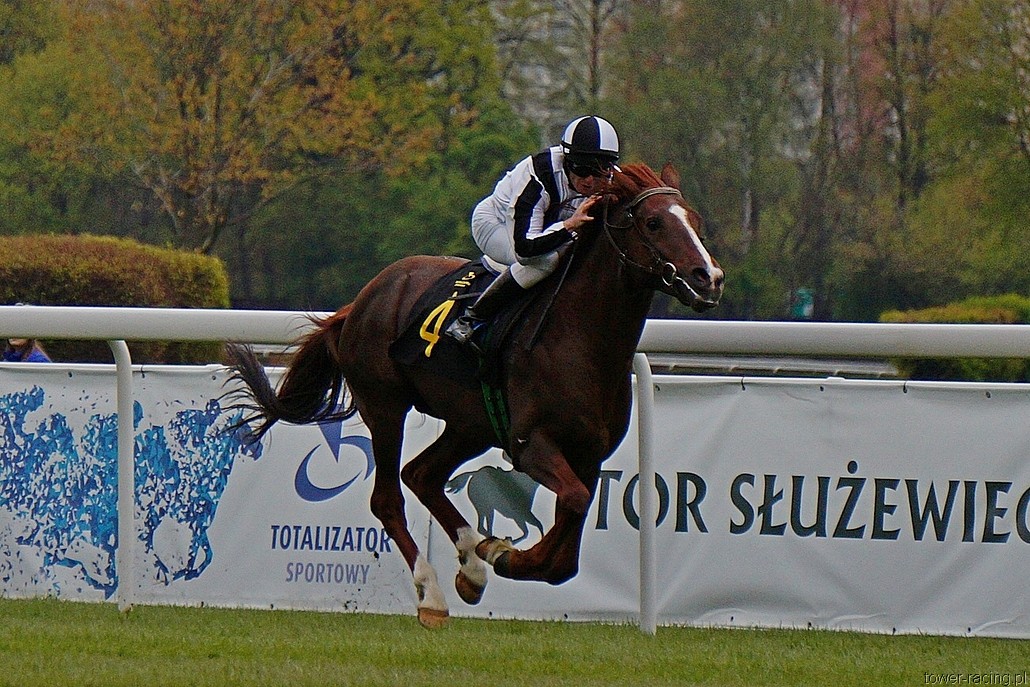DSC00086.JPG