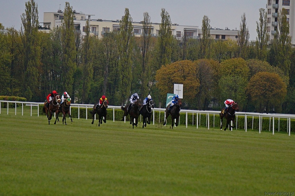 DSC00152.JPG