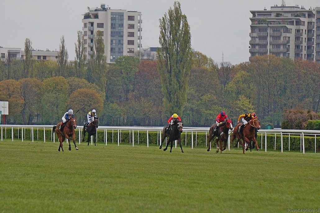 DSC00267.JPG