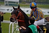 DSC00189.JPG
